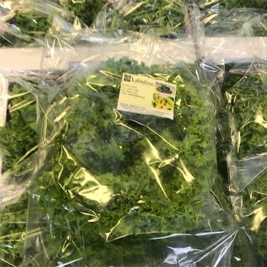 Зелена листа зелене салате