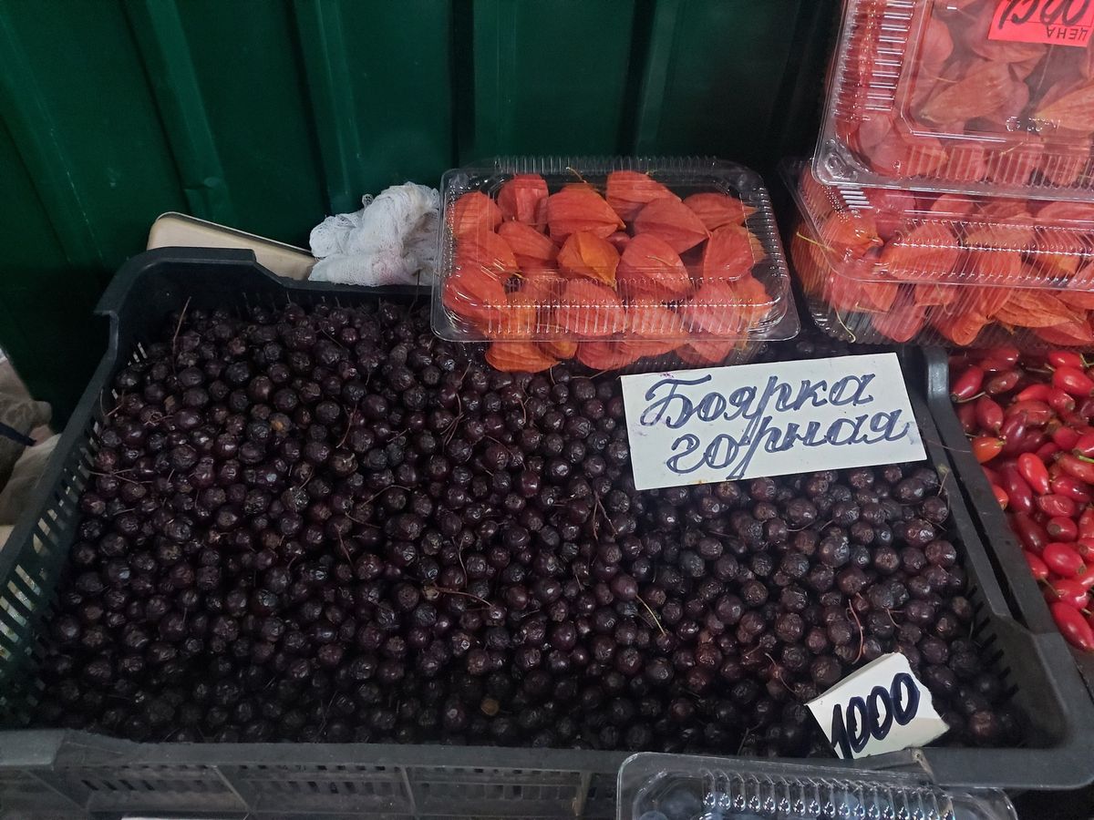 Indiske Hawthorn Berries