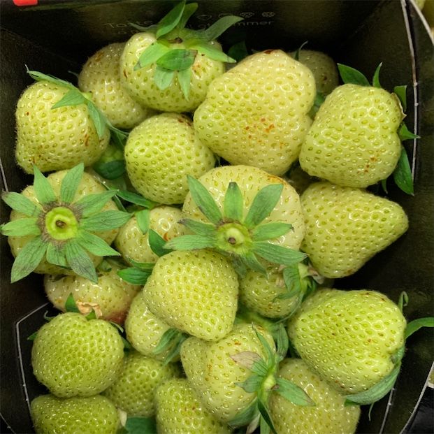 हरी स्ट्रॉबेरी