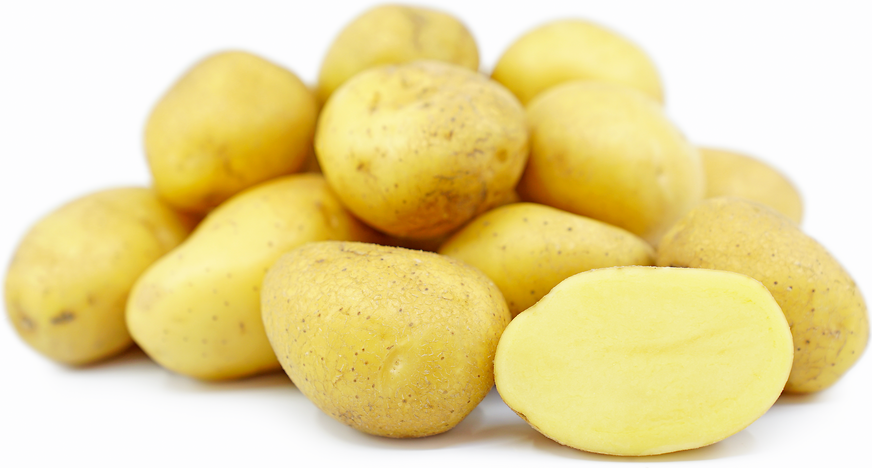 Satina krumpir