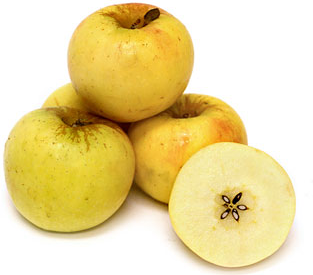 Jabłka Windrose Gold