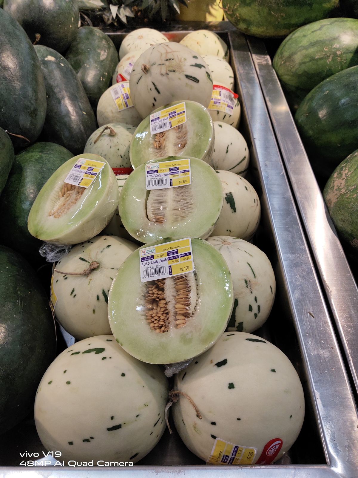 Dino Melons