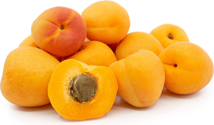 Abricots Modesto