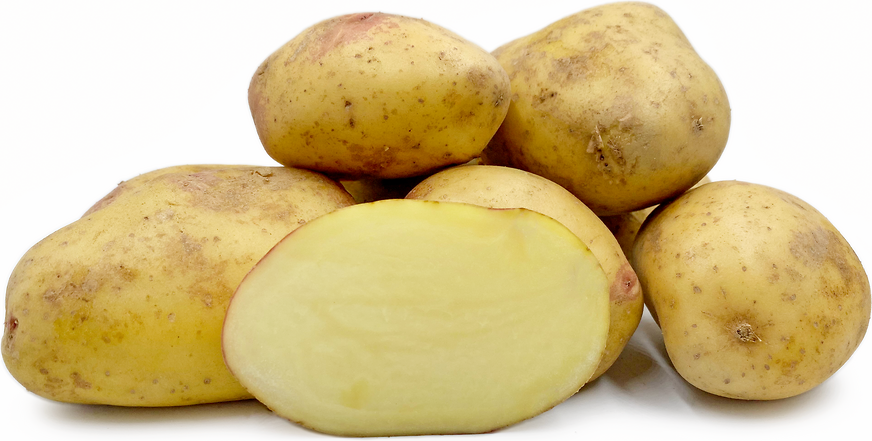 König Edward Kartoffeln