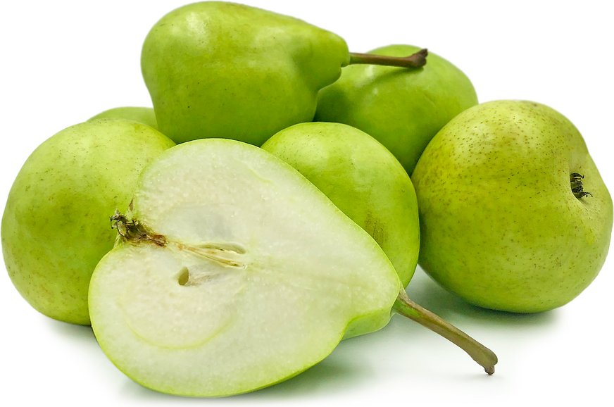 Josephine Pears