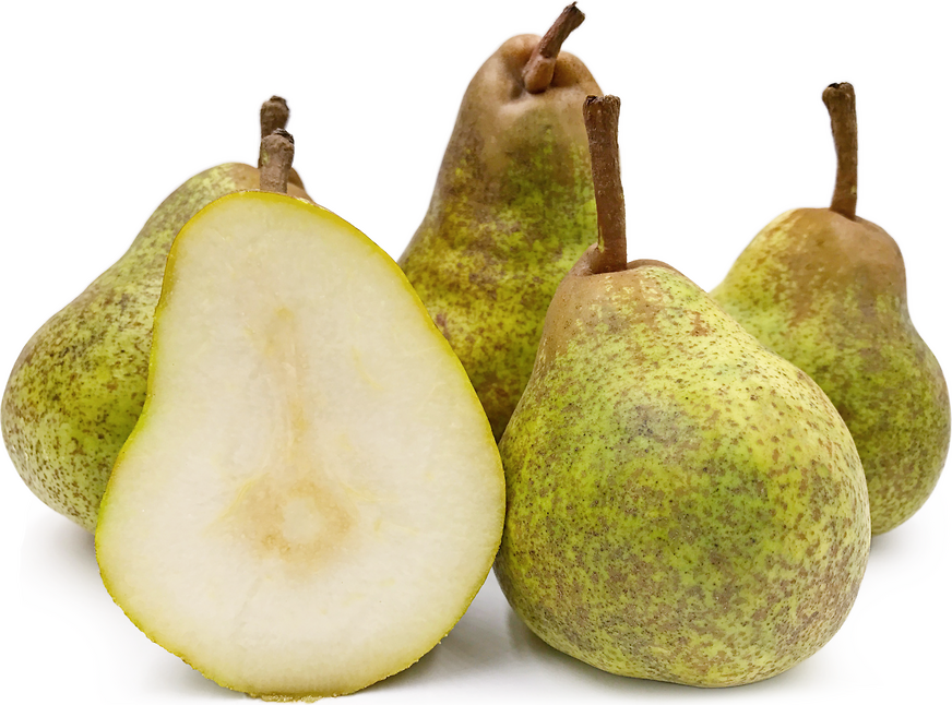 Glou Morceau Pears