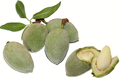 Зелени бадеми