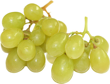 Valkoiset siemenettömät Muscat-viinirypäleet