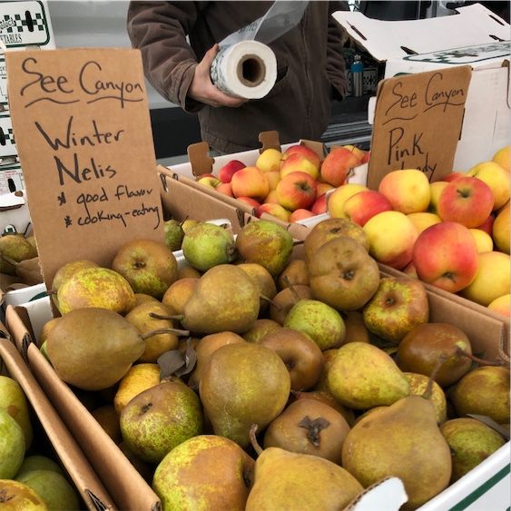 Winter Nellis Pears
