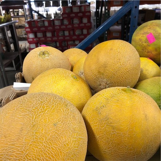Arava Melone