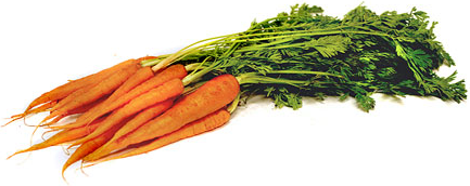 बेबी बंच गाजर