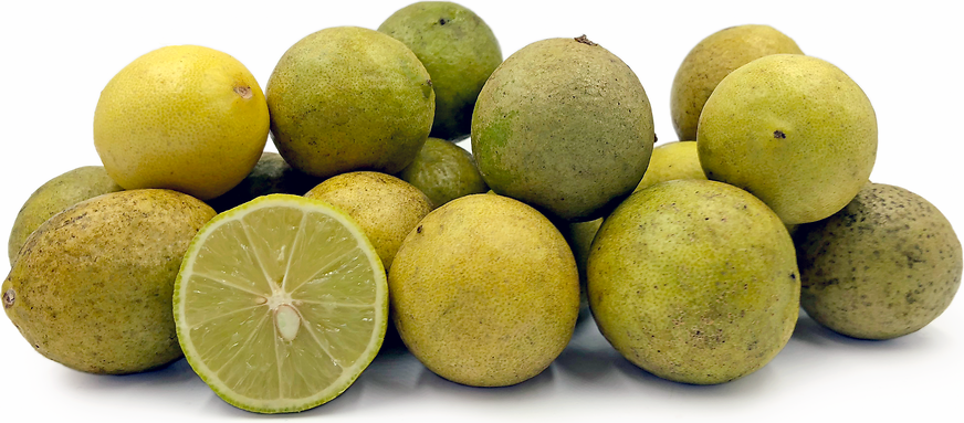 Tahiti Limes