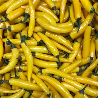 Žluté chilli papričky