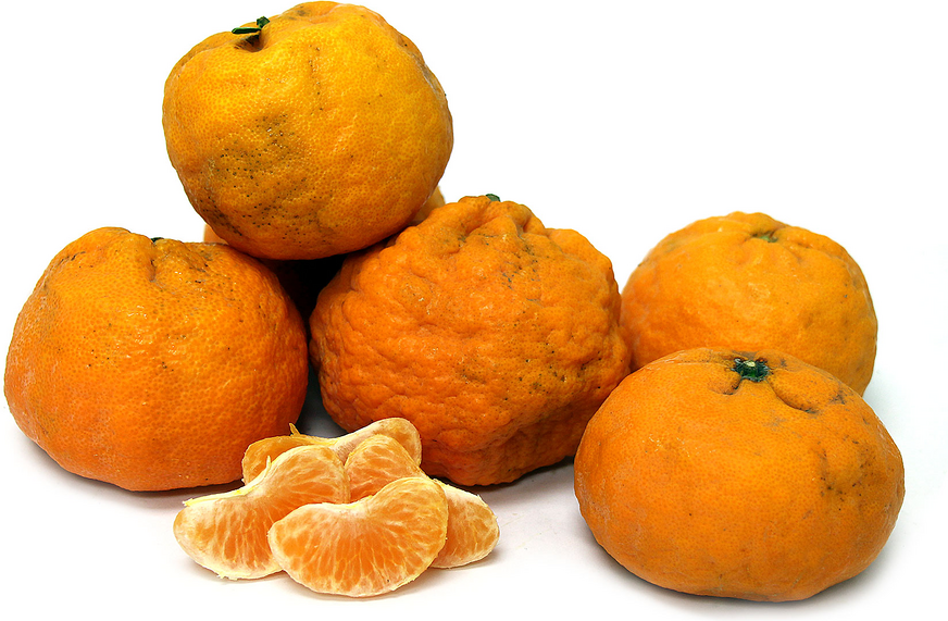Mandarines aux pépites d'or