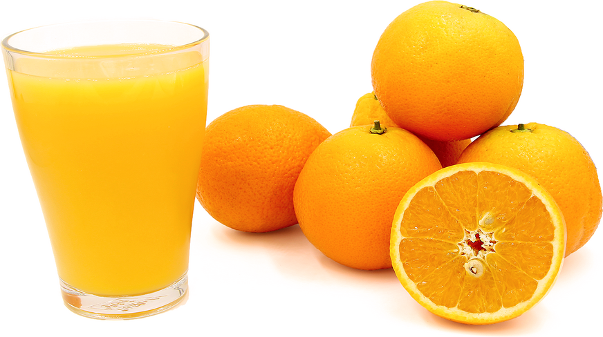 Organic Orange Valencia