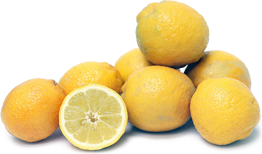 Citrons Perrine