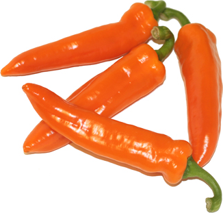 Tequila Sunrise Chile Peppers