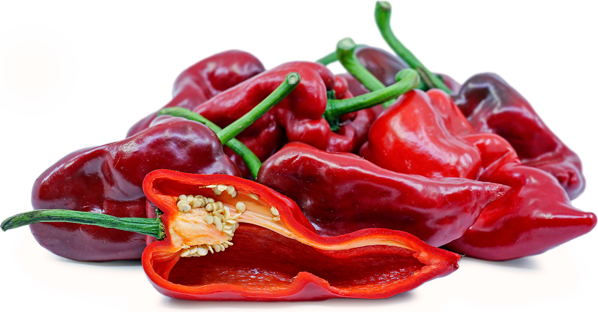 Rød Poblano Chile Pepper