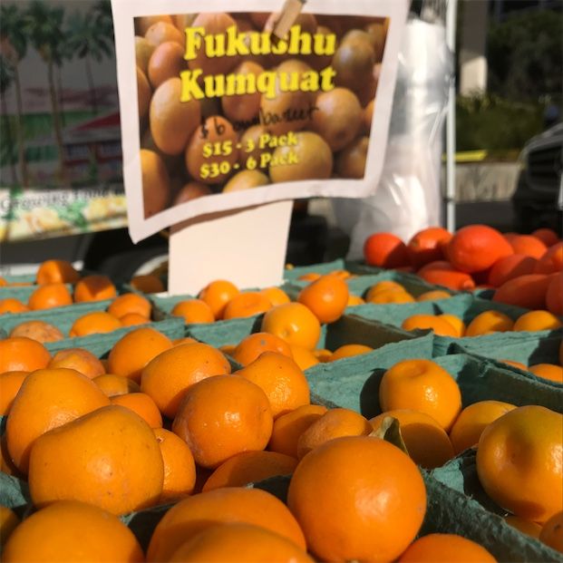 Kumquats de Fukushu