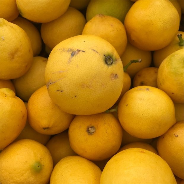 Gouden Eureka-citroenen