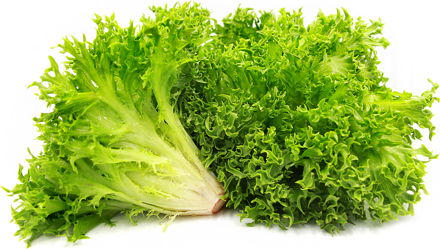 Grüner Riff-Salat