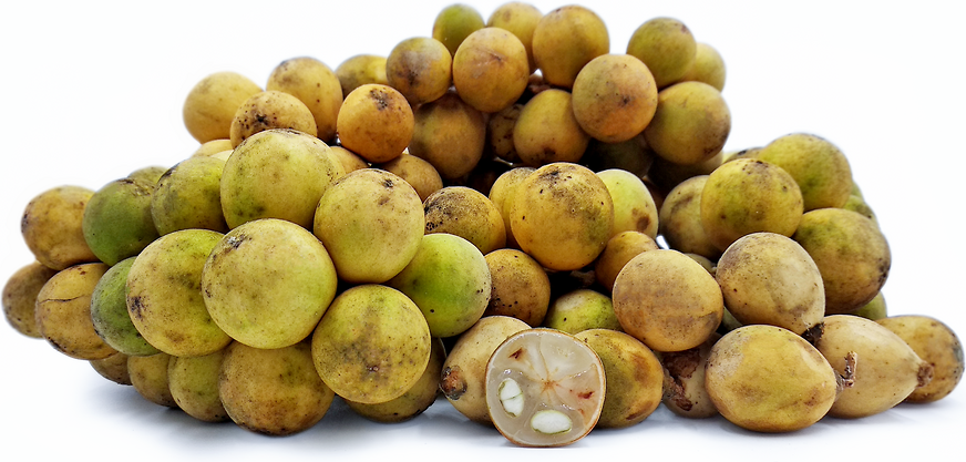 Fruits de noix de coco