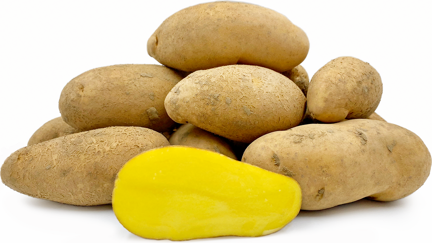 Maya Gold Potatoes