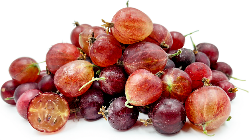 Captivator цариградско грозде