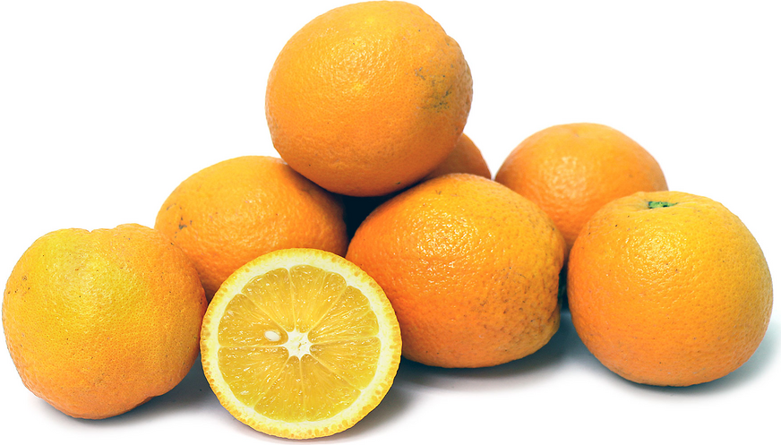 ليما البرتقال