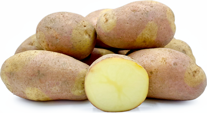 Rozā čigānu kartupeļi