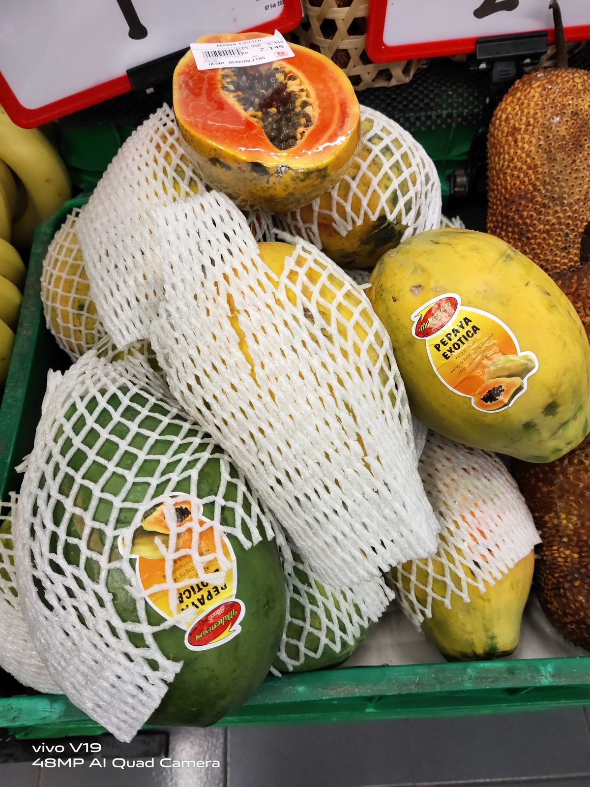 Jagodna papaja (sončni vzhod)
