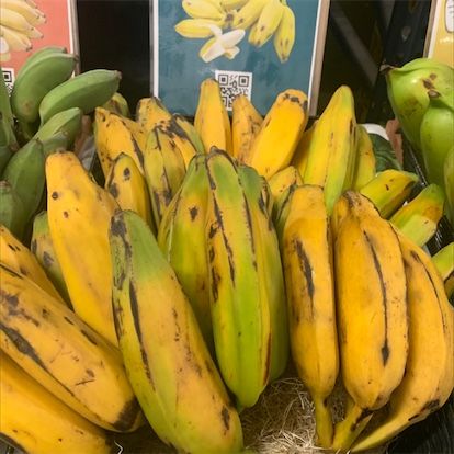 Somárske banány
