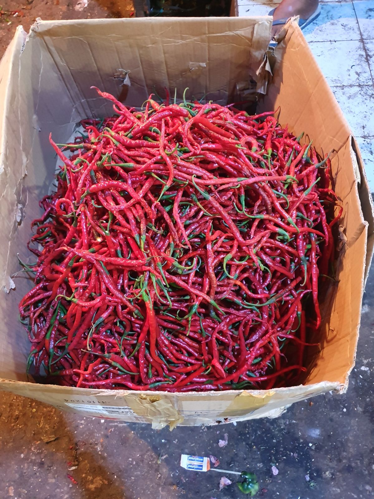 Lange røde chilipepper
