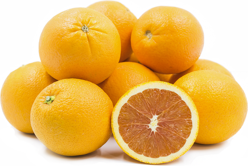 FM Oranges How To - Suntreat®