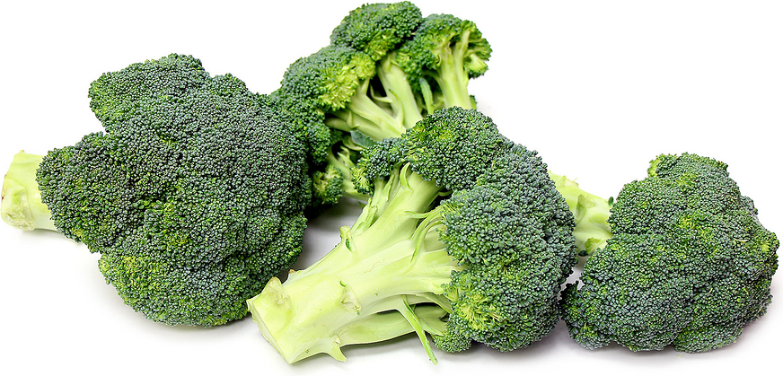 Økologisk broccoli