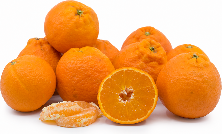 Perfektní mandarinka