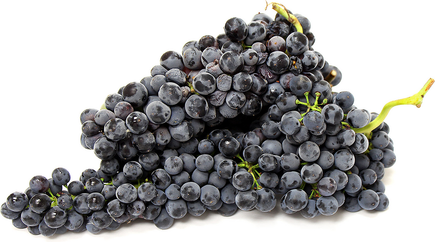 Pinot crni grožđe
