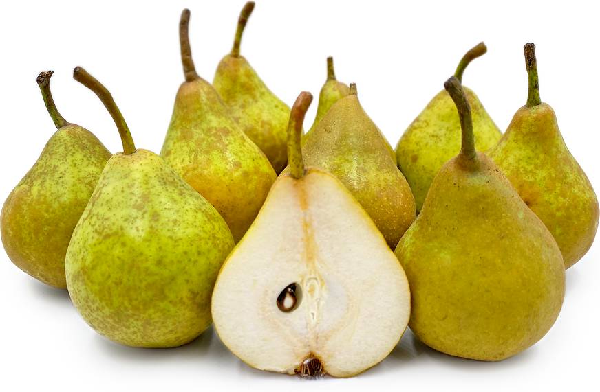 Gieser-Wildeman Pears