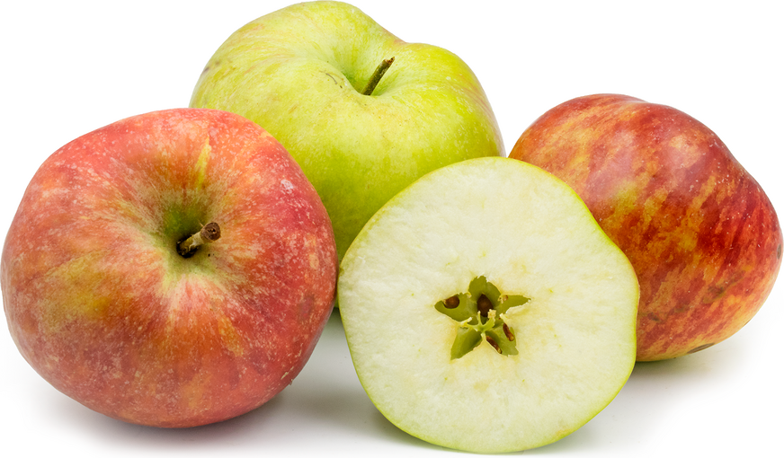 Stromové jablká Isaaca Newtona