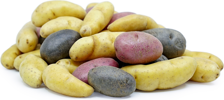 Bland Peewee Fingerling Kartofler