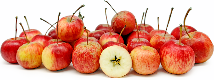 Ranetka सेब