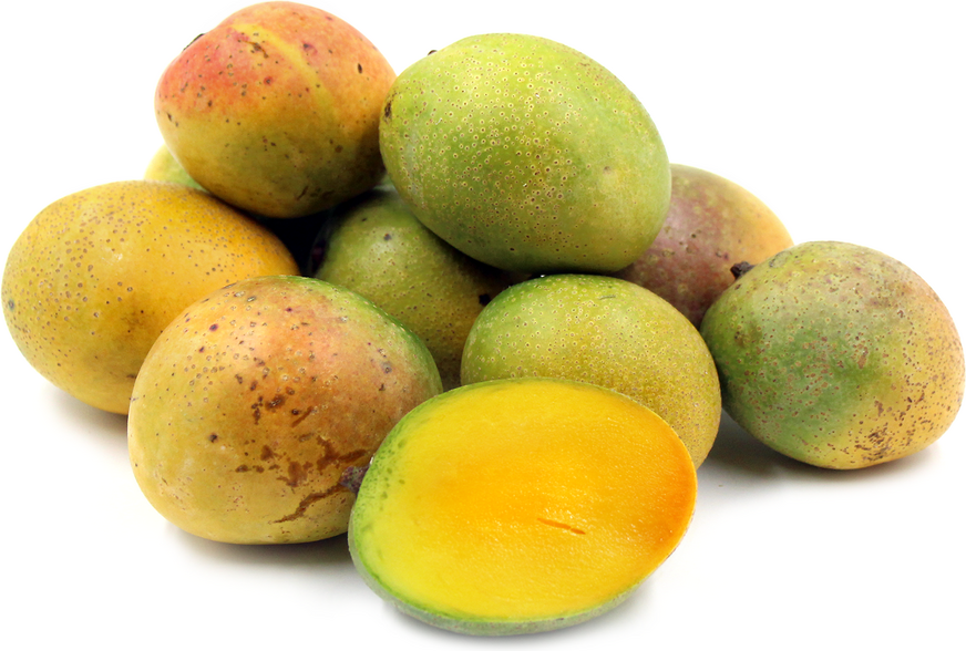 Villasenor-mangot
