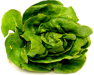 Zelena zelena salata