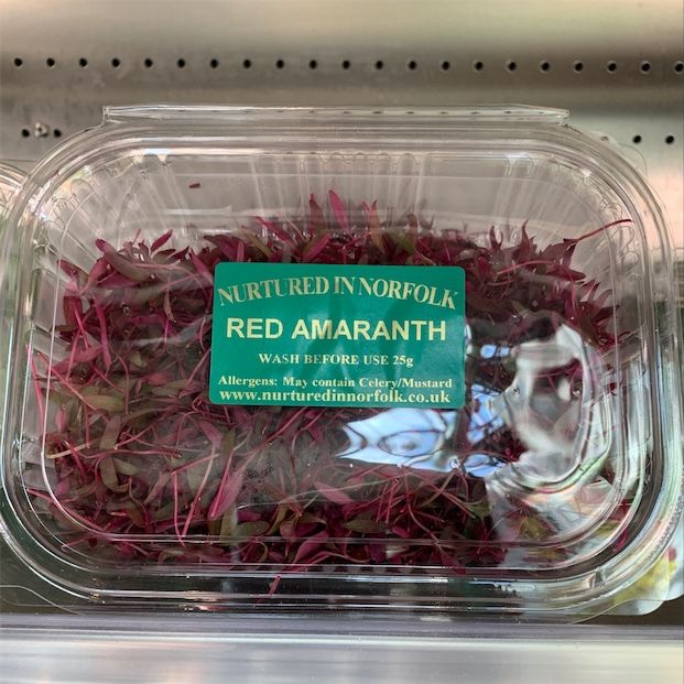 Micro Red Amaranth