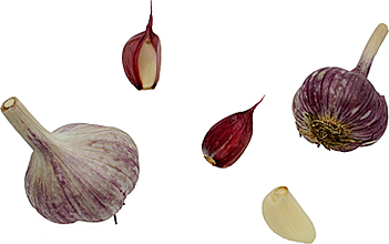 Persian Star Garlic