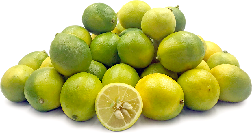 Limequats espanhóis