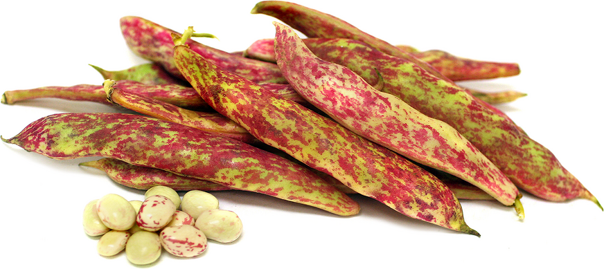 Tongue of Fire Shelling Beans