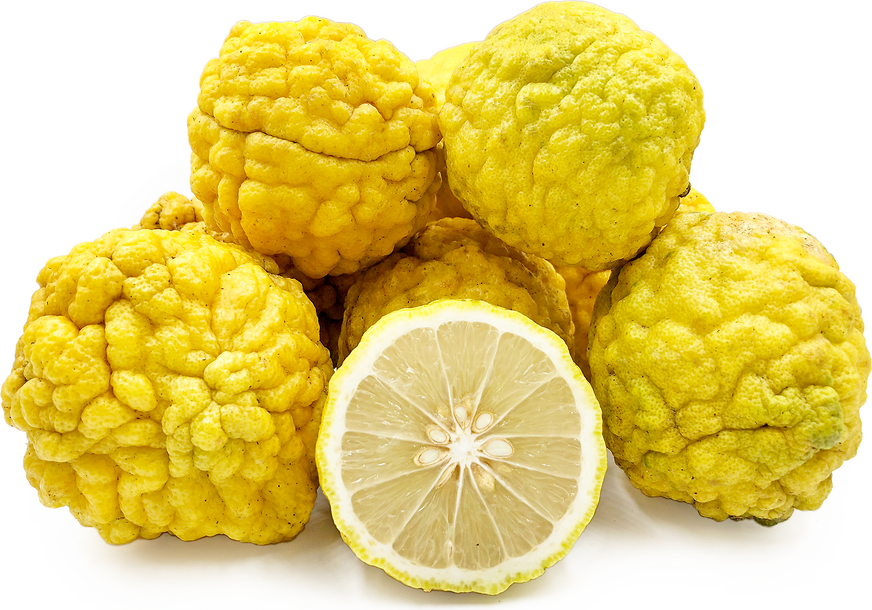 Papeda citrusa