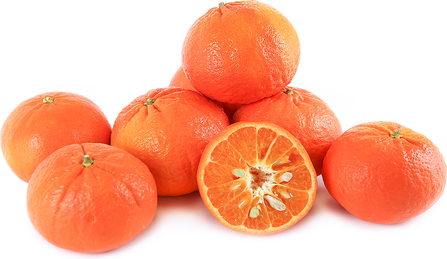 Mandarines Sunburst