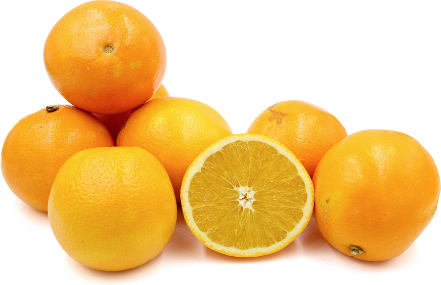 Jumbo Navel Oranges